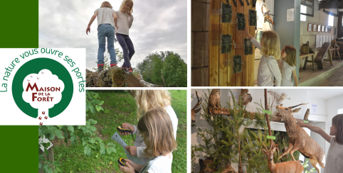 Visite ludique à la Maison de la Forêt à Leuglay (21)