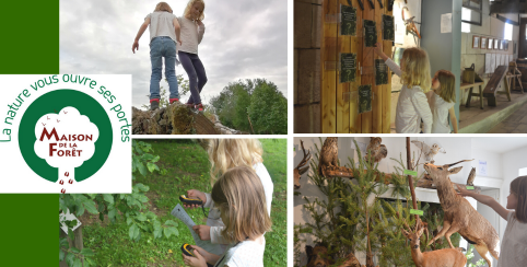 Visite ludique à la Maison de la Forêt à Leuglay (21) 