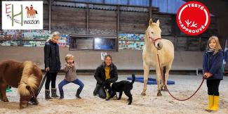 On a testé une séance de médiation animale avec les chevaux près de Dijon avec Ehwaz Hope