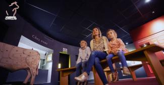 ✪ LA MAISON DU CHAROLAIS: UNE VISITE LUDIQUE ET INTERACTIVE POUR DÉCOUVRIR LE MONDE DE L'ÉLEVAGE ET BIEN PLUS! | CHAROLLES (71)